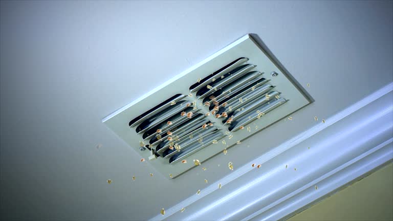 Best Air Duct Cleaning Near Me  in Mascot, TN